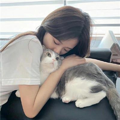 热带雨林的爆笑生活
