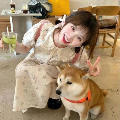 调皮蛋